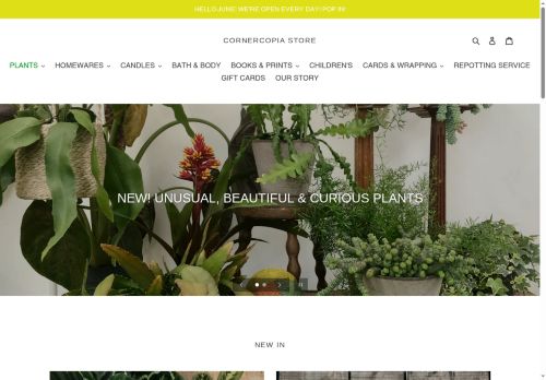 Cornercopia Store capture - 2025-06-19 05:04:27