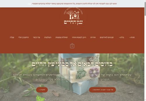 israelisoaps.com capture - 2025-06-19 07:15:36