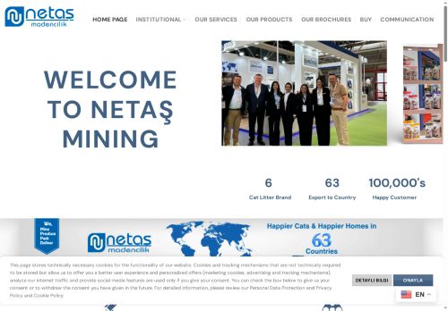 netasmadencilik.com capture - 2025-06-19 09:17:46