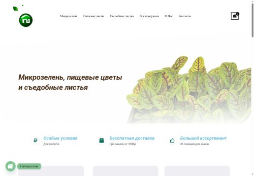 nano-green.ru capture - 2025-06-19 10:31:38