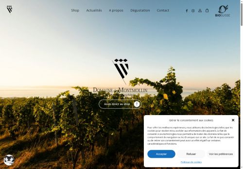 domainedemontmollin.ch capture - 2025-06-19 11:57:34