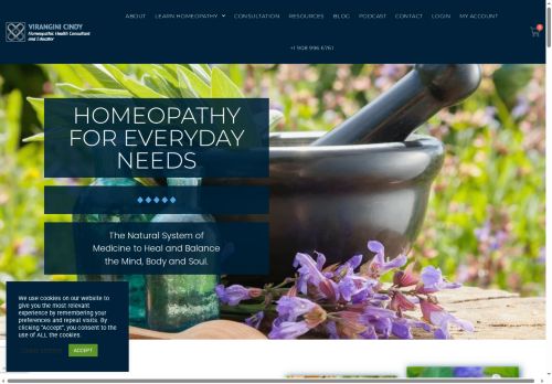 viranginicindy.com capture - 2025-06-19 16:06:19