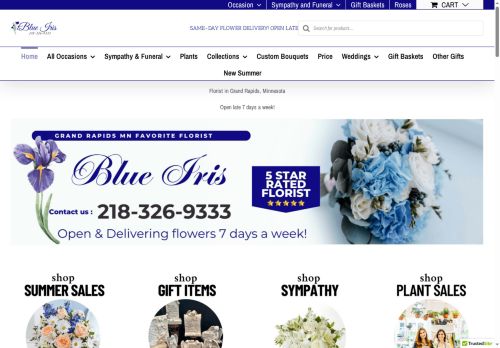 blueirisetc.com capture - 2025-06-19 16:10:45