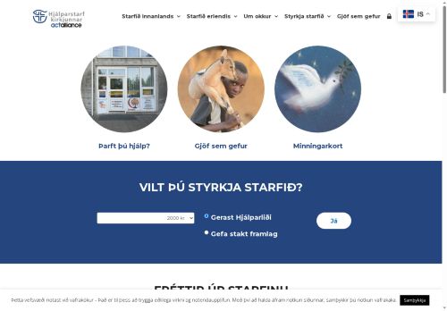 help.is capture - 2025-06-19 17:21:15