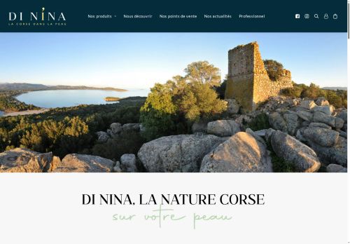 di-nina.com capture - 2025-06-19 22:41:29