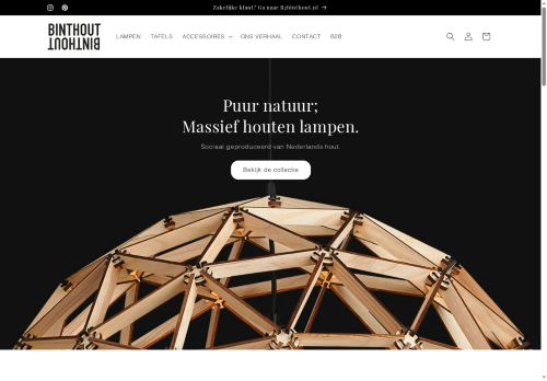 binthout.nl capture - 2025-06-20 00:53:45