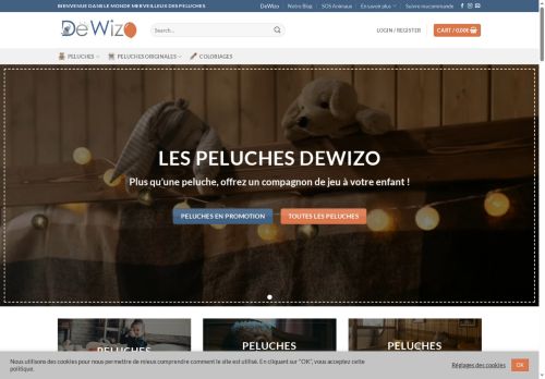 dewizo.com capture - 2025-06-20 05:01:26