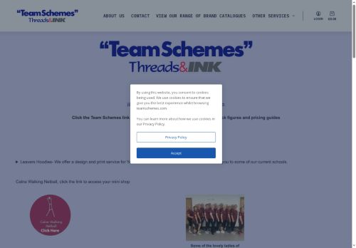 teamschemes.com capture - 2025-06-20 07:14:17