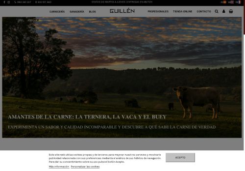 carniceriaguillen.com capture - 2025-06-20 13:15:59