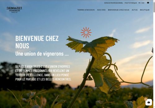 demazet.com capture - 2025-06-20 15:22:34