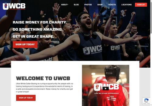 ultrawhitecollarboxing.com capture - 2025-06-20 16:46:10