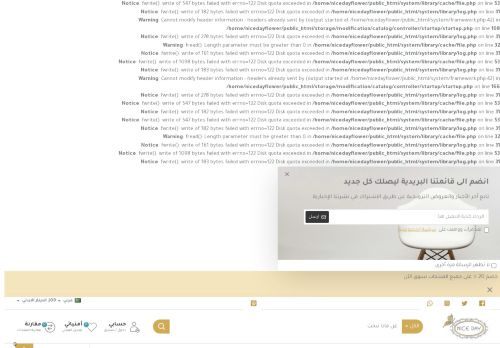 nicedayflower.com capture - 2025-06-20 17:41:40