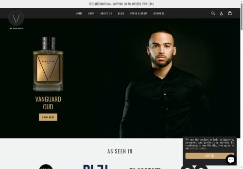 mrvanguard.com capture - 2025-06-20 22:12:43