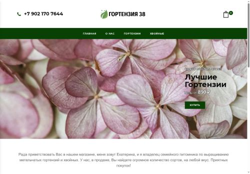 xn--38-glcikg7agsu1m.xn--p1ai capture - 2025-06-21 00:25:55