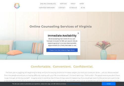 Online Counseling Services of Virginia capture - 2025-06-21 01:02:11