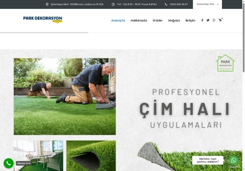 parkdekorasyon.com capture - 2025-06-21 01:56:17