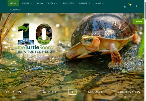 theturtleroom.org capture - 2025-06-21 03:45:48