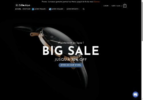zidboutique.com capture - 2025-06-21 08:34:46