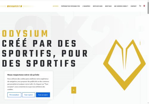 odysium.com capture - 2025-06-21 09:36:48