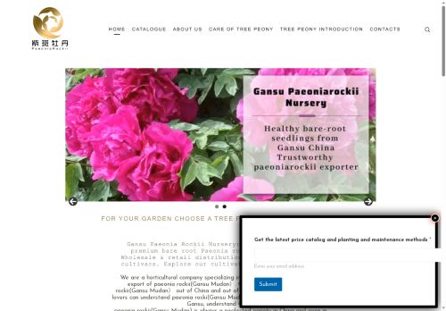 chinapaeoniarockii.com capture - 2025-06-21 09:45:07