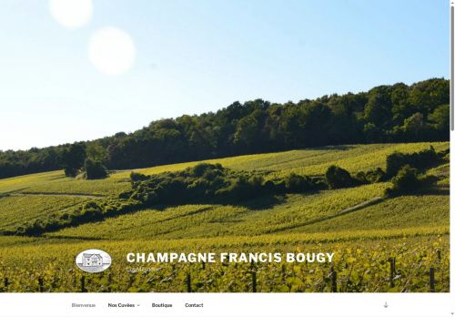 champagne-francisbougy.com capture - 2025-06-21 15:00:13
