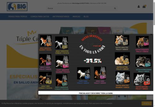 bigmascotas.com capture - 2025-06-21 16:59:18