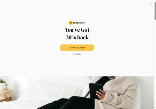 bigblankets.com capture - 2025-06-21 21:41:11