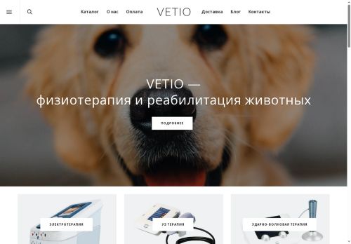 vetio.ru capture - 2025-06-22 00:25:33