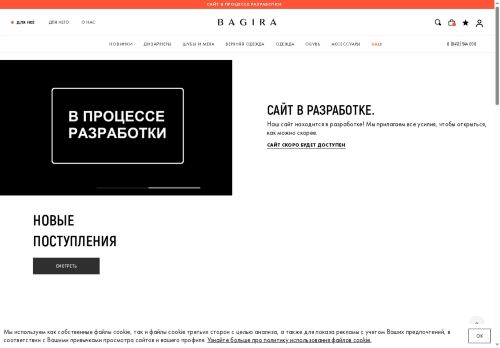 bagira.ru capture - 2025-06-22 06:41:03