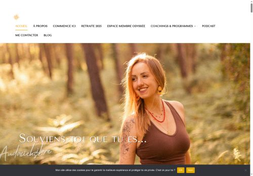 fityourdreams.com capture - 2025-06-22 09:40:50