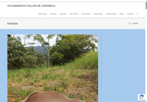 acuamarinta.net capture - 2025-06-22 15:49:04