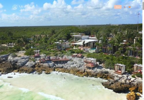 Mi Amor capture - 2025-06-25 18:55:51