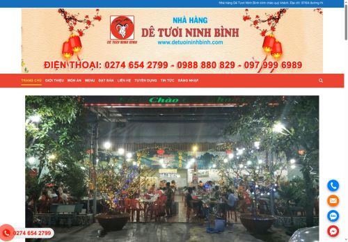 detuoininhbinh.com capture - 2025-06-25 20:04:28