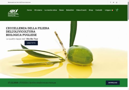 apofg.com capture - 2025-06-25 20:23:54