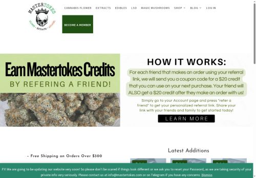 mastertokes.com capture - 2025-06-25 21:33:21