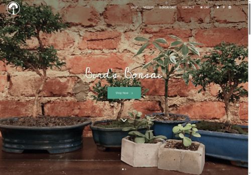 birdsbonsai.com capture - 2025-06-25 22:14:49