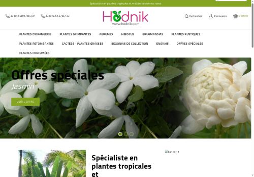 hodnik.com capture - 2025-06-25 22:41:20