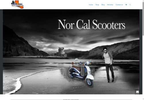 ssrdealer.com capture - 2025-06-26 01:20:00