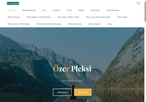 ozerpleksi.com capture - 2025-06-26 04:49:17