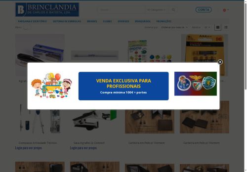 brinclandia.com capture - 2025-06-26 06:09:11