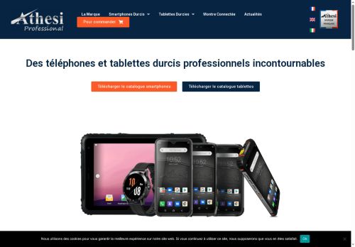 athesi-professional.com capture - 2025-06-26 07:52:06