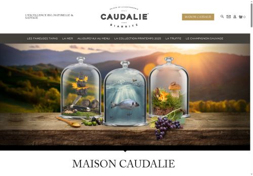 caudalie-biarritz.com capture - 2025-06-26 08:45:38