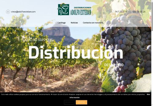 adolfoesteban.com capture - 2025-06-26 11:27:30