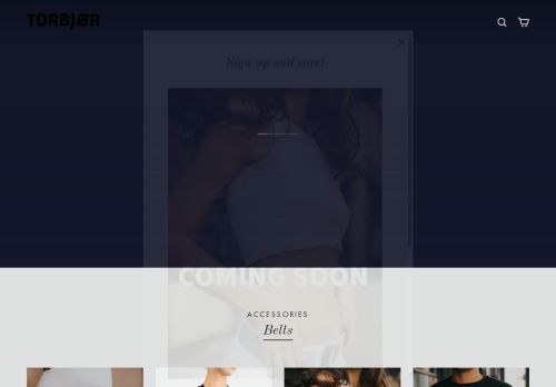 torbjor.com capture - 2025-06-26 16:29:32