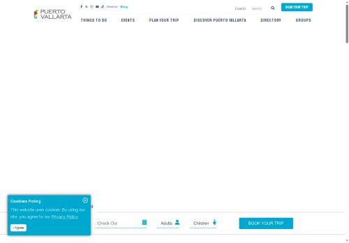 Puerto Vallarta capture - 2025-06-28 09:19:34