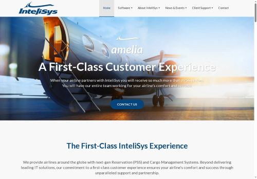 InteliSys Aviation Systems capture - 2025-06-28 09:41:17