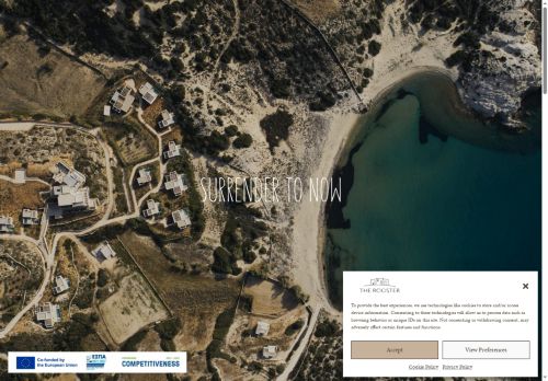 The Rooster capture - 2025-06-28 10:01:33