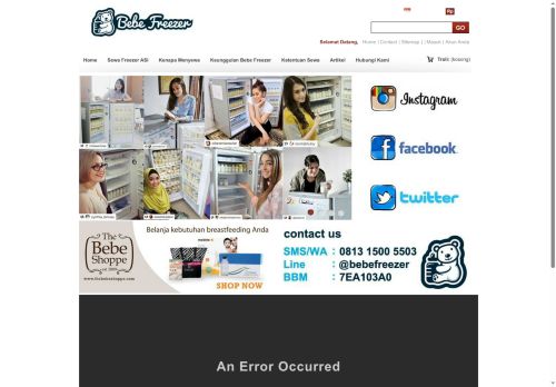 bebefreezer.com capture - 2025-06-28 10:24:57
