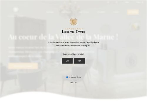 champagne-david.com capture - 2025-06-28 11:07:02