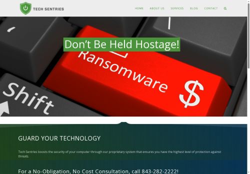 techsentries.com capture - 2025-06-28 12:27:22